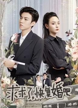 求求了，快復婚吧(全集)