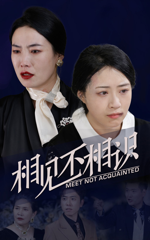 相見(jiàn)不相識(全集)